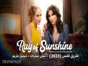 كشروق الشمس (2023) – سكس متحولات – شيمايل مترجم